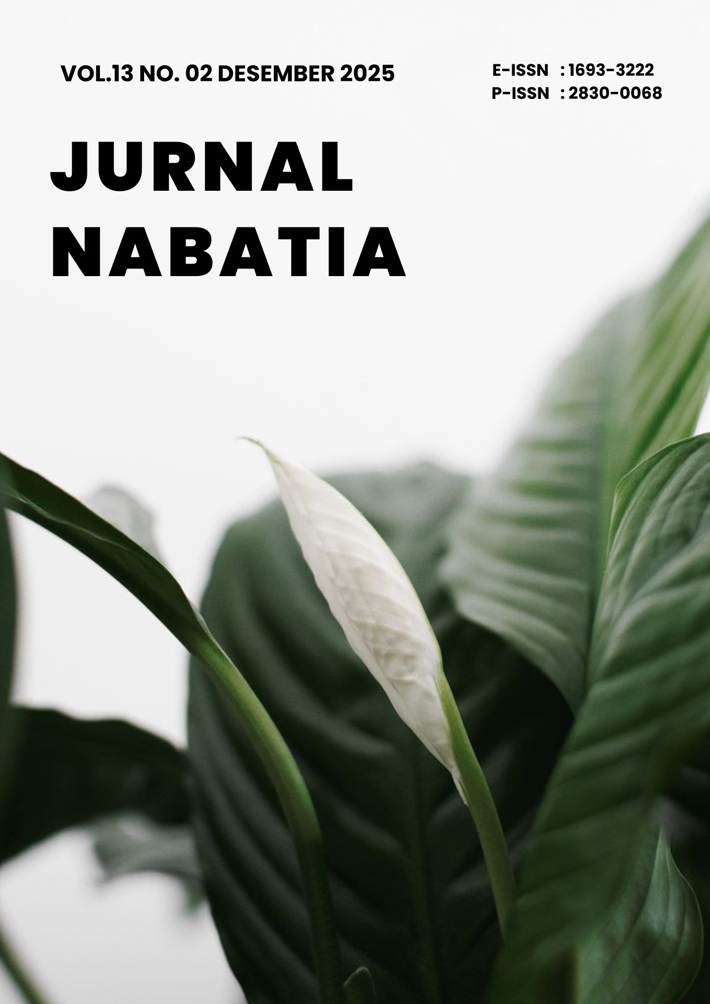 Cover Nabatia
